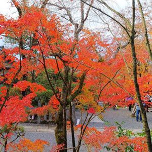 またまた宿題のやり方