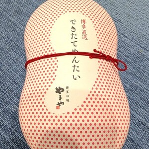 高３　公募推薦入試直前　私大対策模試が返ってきた！