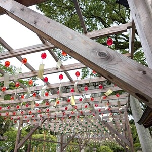 夏期集中セミナー頑張りました💮